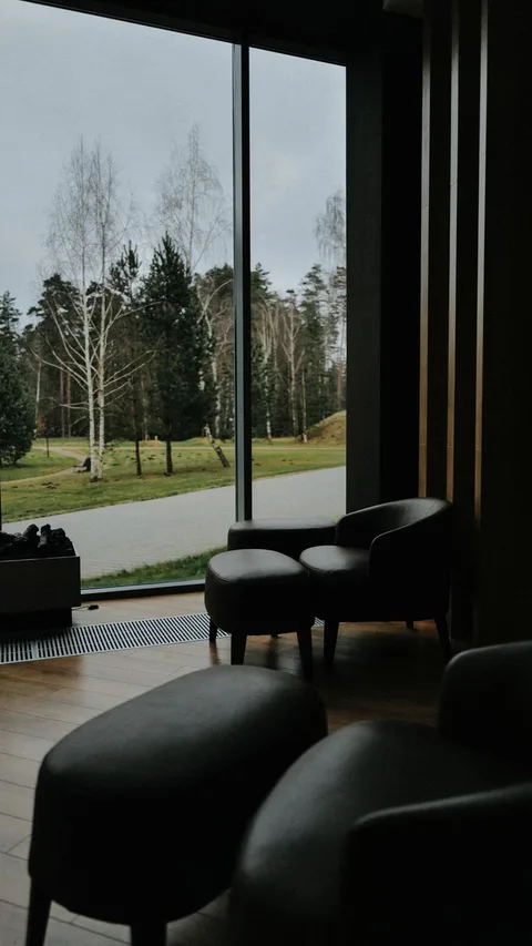 Contemporary interior with elegant chairs overlooking a serene forest through a large window.